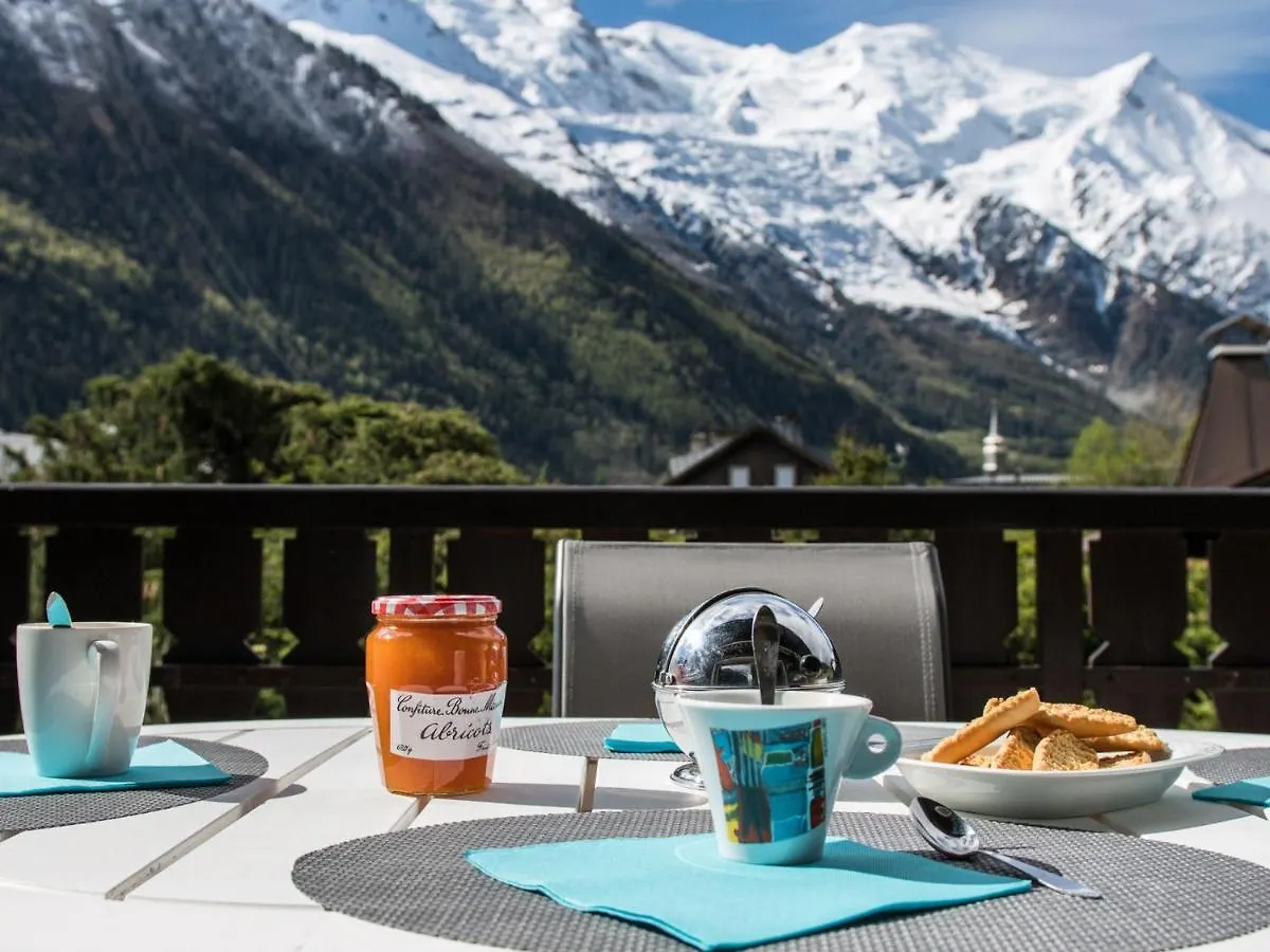 Grand Appartement Avec Terrasse Face Au Mont-Blanc, Parking Et Wifi - Fr-1-343-173 Chamonix